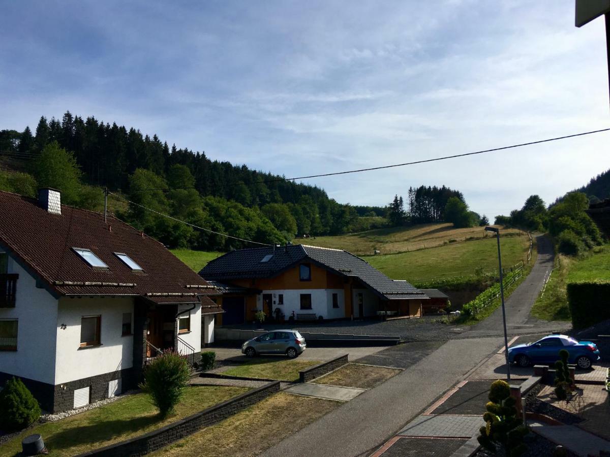 Ferienwohnung Am Nuerburgring/Wintersport Arft Acht Exterior foto